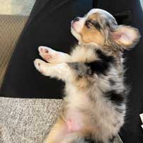 Sleeping-baby-Blue