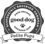 Good Dog Seal